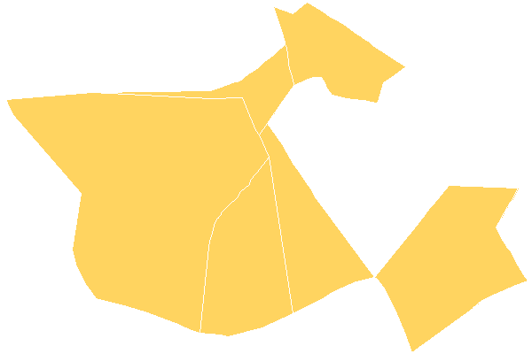 Leyte 4th District